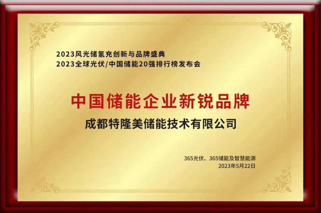Tecloman won the top 20 energy storage in China in 2023!